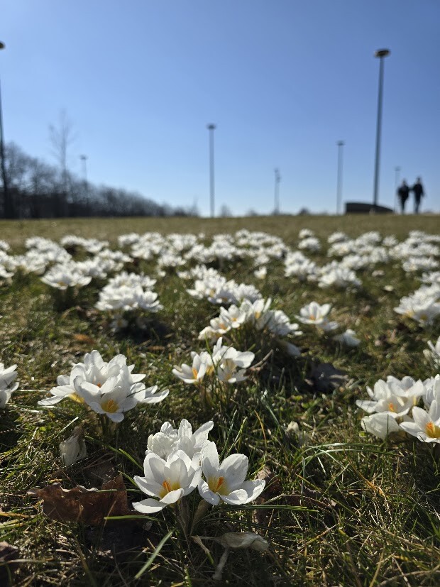 Svētdiena daudzviet būs mākoņains, gaiss iesils līdz +17 grādiem