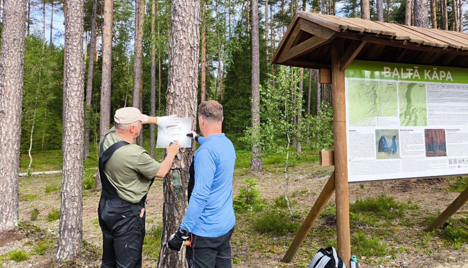Jauns pārgājienu maršruts Zvirgzdes Baltās kāpas apkārtnē