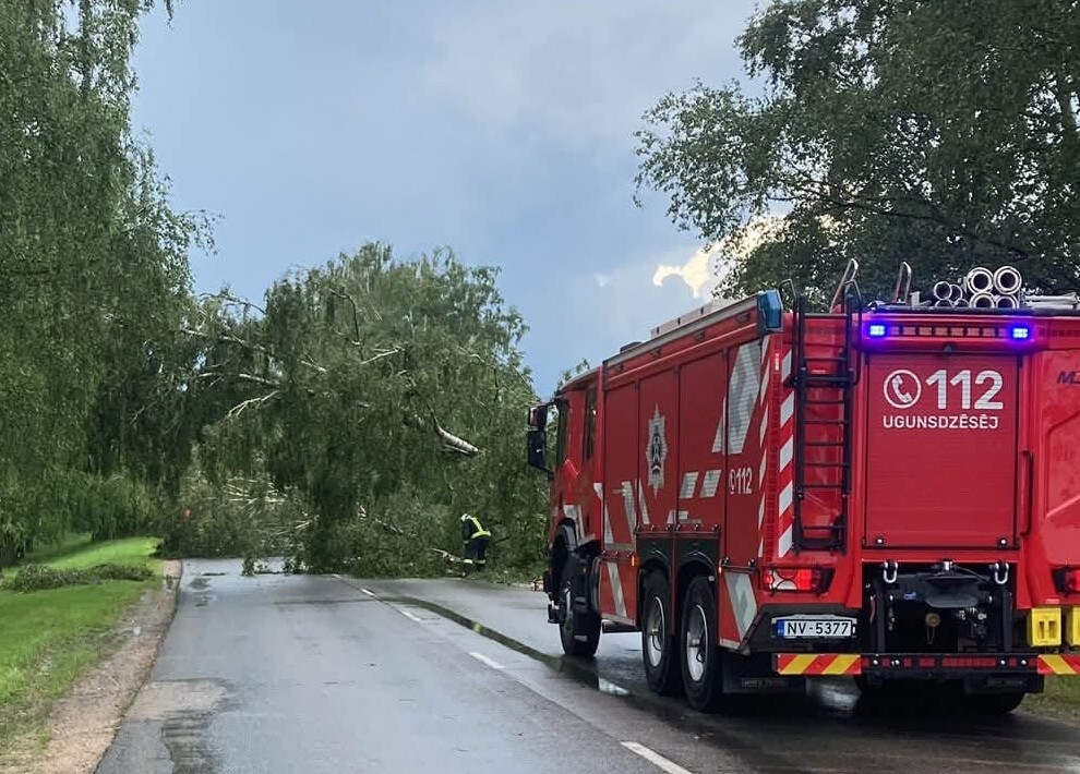 Pie Stelpes vējš sagāž kokus